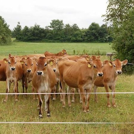 Gite A La Ferme, Au Coeur Du Mene Laurenan Екстериор снимка